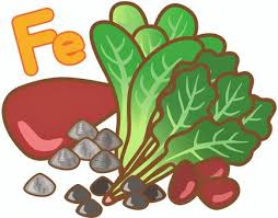 鉄分足りてますか？🩸